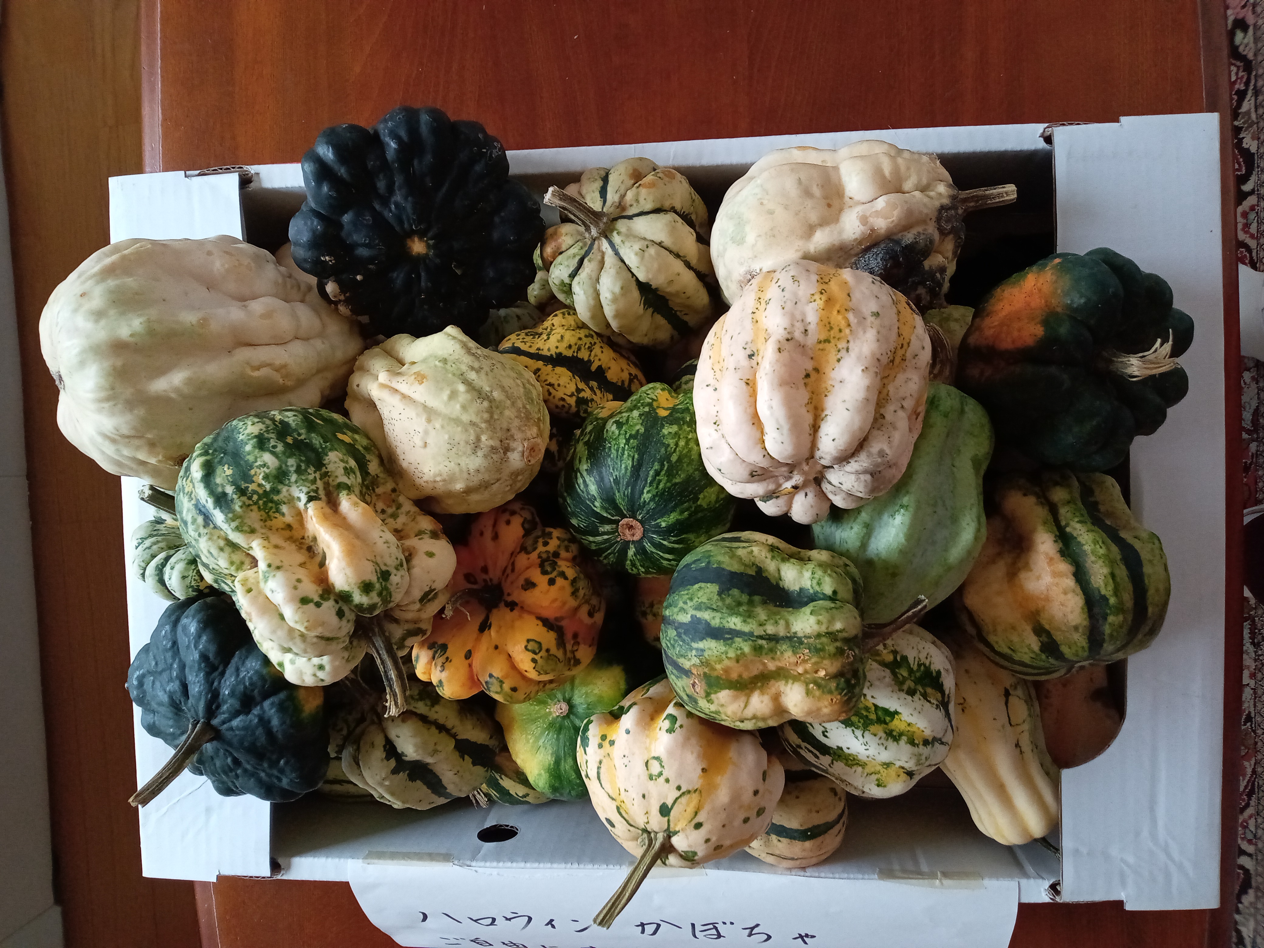 DSC_001_BURST20251002075823383